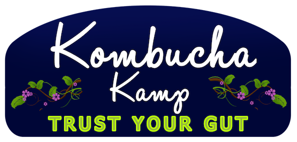 Post image for Giveaway: Kombucha Kamp Gift Certificate — $50.00 Value!