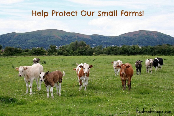 Action Alert: Tell FDA To Treat Small Farmers Fairly post image
