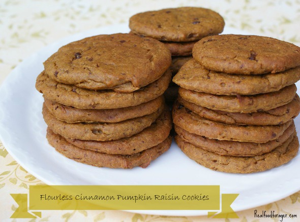 Post image for Recipe: Flourless Cinnamon Pumpkin Raisin Cookies (Paleo, SCD, GAPS)