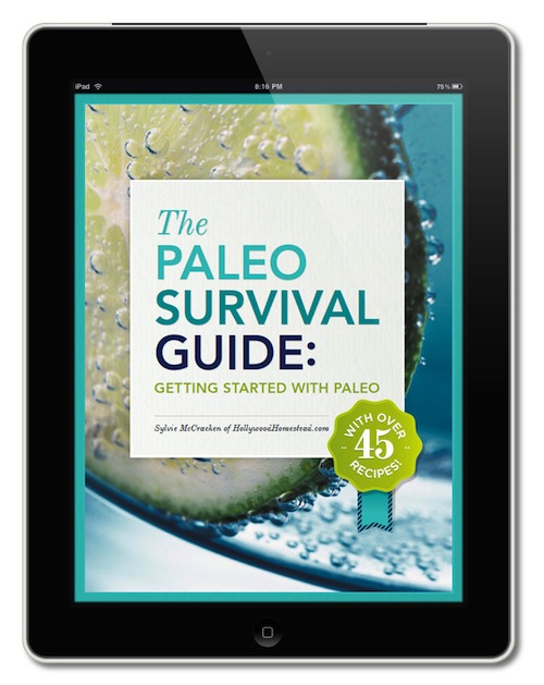 The Paleo Survival Guide by Sylvie McCracken post image