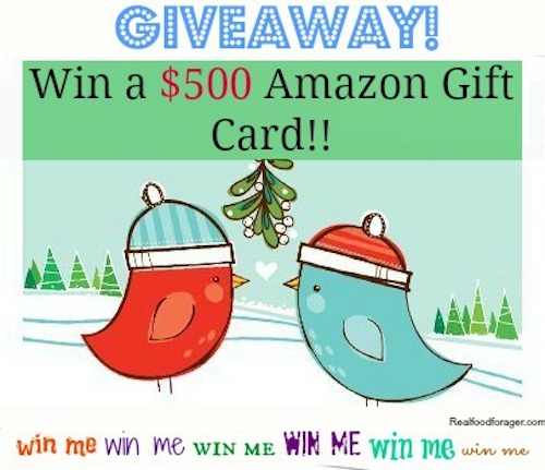 Post image for December Giveaway: $500.00 Amazon Gift Card!!!