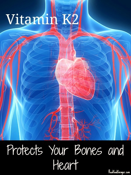 Vitamin K2: The Critically Overlooked Vitamin that Protects Your Bones and Heart post image
