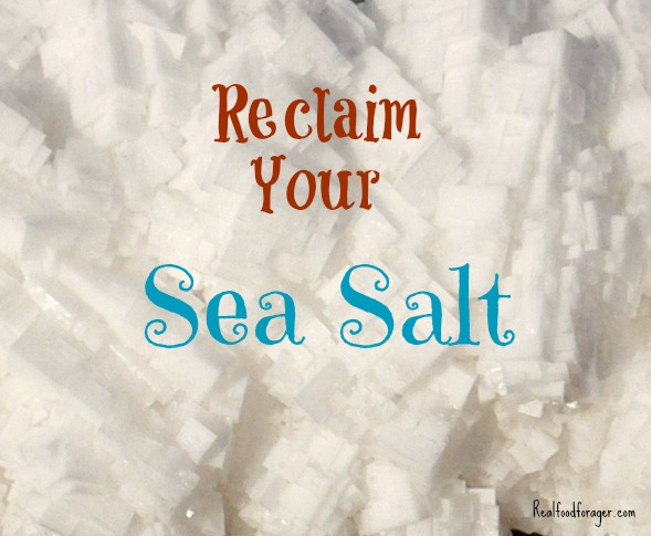 Reclaim Your Sea Salt post image