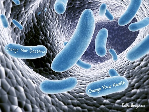 Post image for Change your Microbiome — Change Your Health!