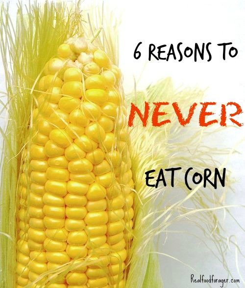 6 Reasons to NEVER Eat Corn Especially if You Are Celiac or Gluten Sensitive post image