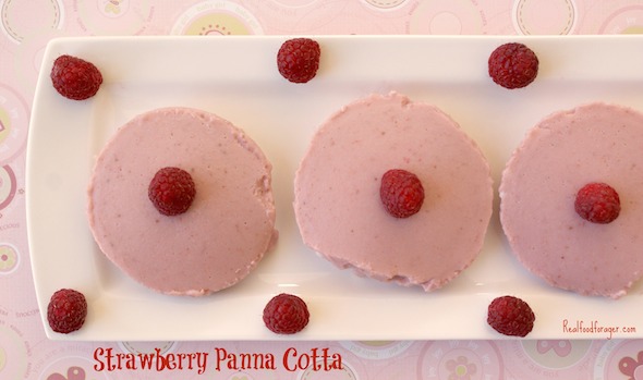 Post image for Strawberry Panna Cotta Pudding from Primal Life Kit