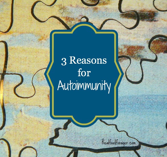 3 Reasons for Autoimmunity and How To Manage It post image