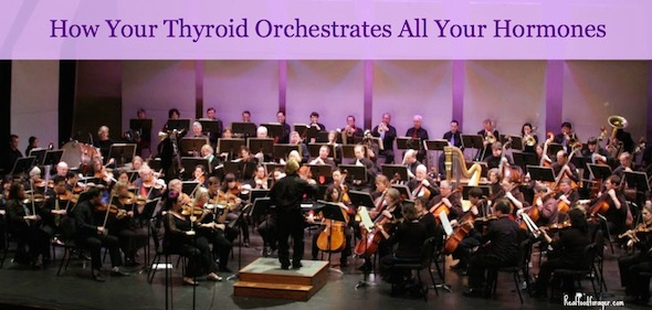 How Your Thyroid Orchestrates All Your Hormones post image