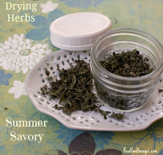 Drying Herbs: Summer Savory post image