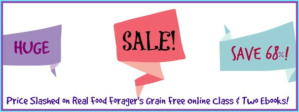 Save 68% on my Grain Free Ebundle of my Ecourse and 2 Ebooks! post image