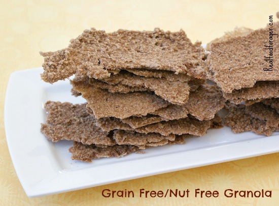 Recipe: Grain Free/Nut Free Granola (AIP Paleo, SCD,GAPS) post image