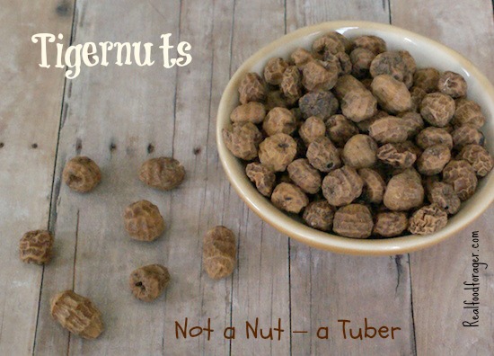 Post image for Tigernuts: A New/Old Food