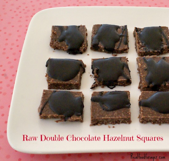 Recipe: Raw Double Chocolate Hazelnut Squares (Paleo, GAPS) post image