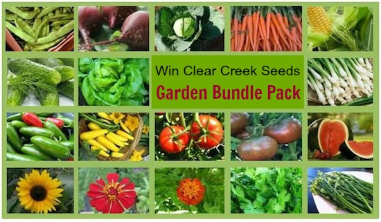 Post image for Announcing the Winner of Clear Creek Seeds Garden Bundle Pack!