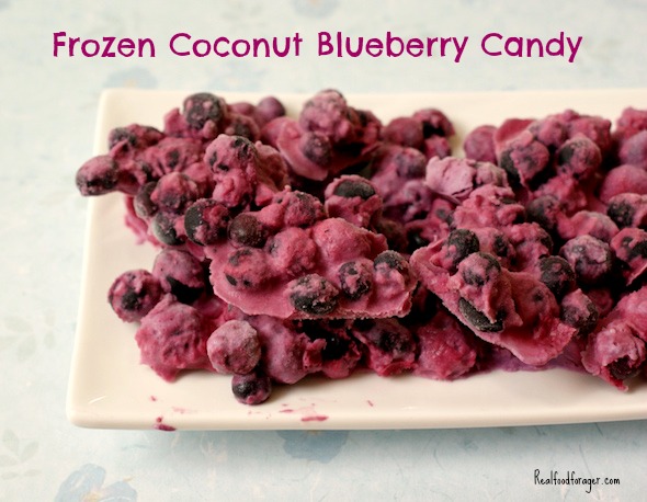 Recipe: Frozen Coconut Blueberry Candy (Paleo, SCD, GAPS, AIP) post image