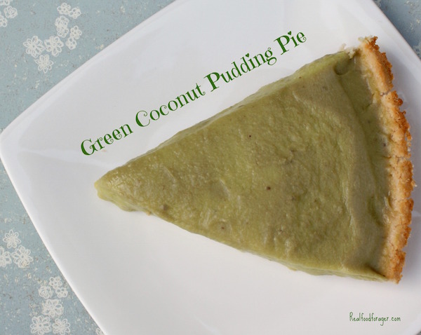 Recipe: Green Coconut Pudding Pie (Paleo, GAPS, SCD) post image