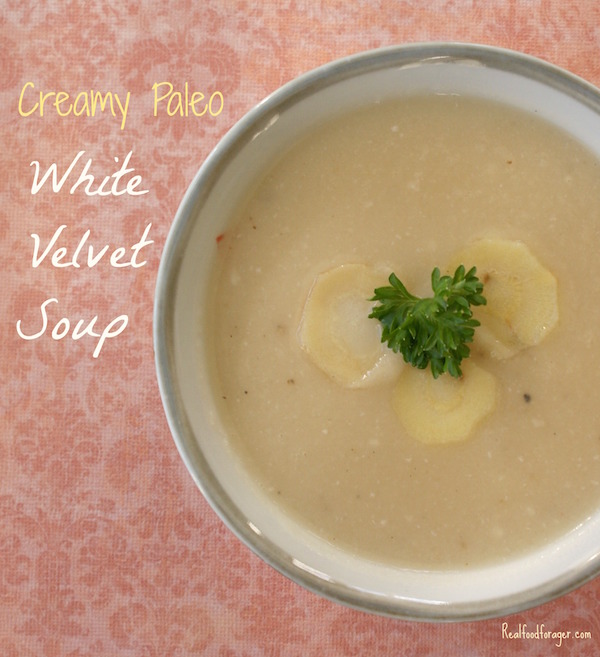 Recipe: Creamy Paleo White Velvet Soup (SCD, GAPS) post image