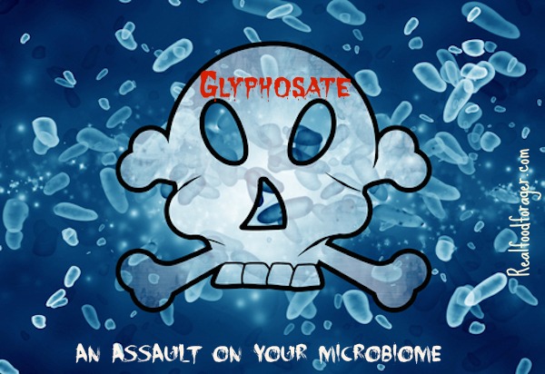 Glyphosate: An Assault on Your Microbiome post image