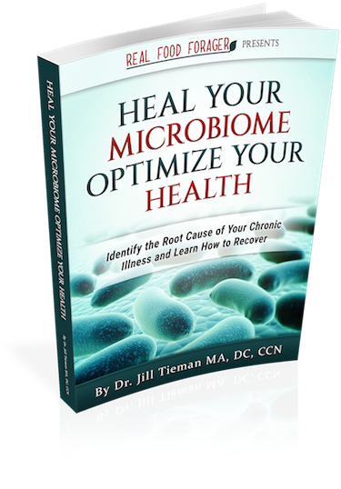 Announcing the Launch of my new E-book, Heal Your Microbiome Optimize Your Health! Along with a Fanatastic Opportunity! post image