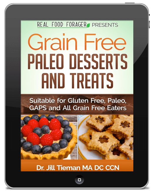 Grain Free Paleo Desserts and Treats - Jill Tieman