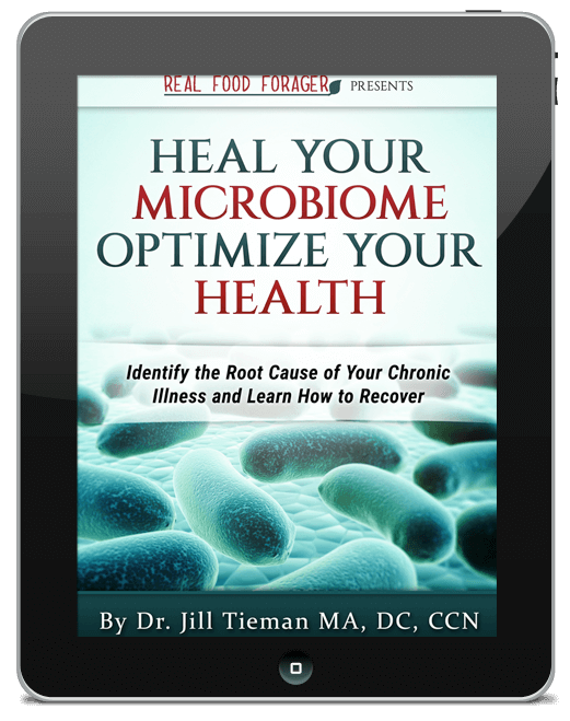 Heal Your Microbiome - Jill Tieman