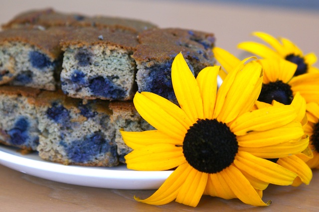 Sunflower blueberry bars