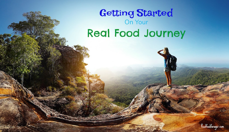 Simple Steps To Getting Started on Your Real Food Adventure post image
