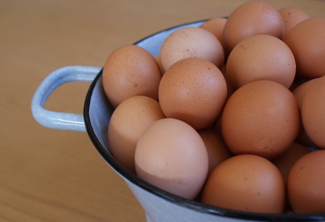 pastured eggs, farm fresh eggs, free range chickens, USDA