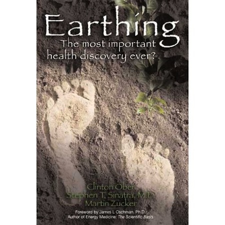 Giveaway: Earthing, the book about grounding — 3 copies, 3 winners! post image