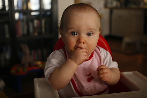 Baby’s First Foods:The Problem with the Conventional Approach post image