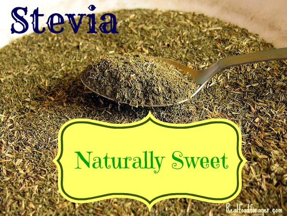 stevia, natural sweetener, sugar, honey, maple syrup