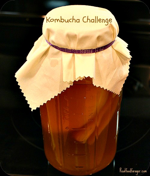Post image for Kombucha Challenge Signup Page