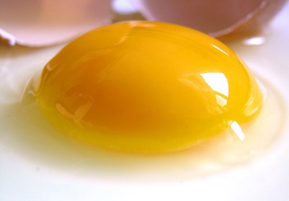 Eggs Blamed for Heart Disease Again — From Poor Science post image