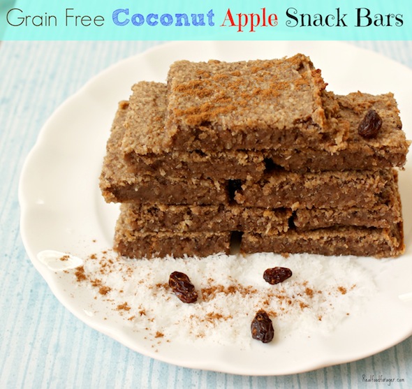 Recipe: Grain Free Coconut Apple Granola Bars post image