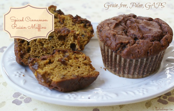 Recipe: Spiced Cinnamon Raisin Muffins (Paleo, GAPS) post image