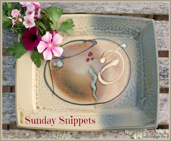 Sunday Snippets: 5/31/15 post image