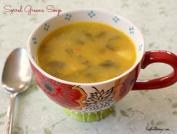 Recipe: Sorrel Greens Soup (Paleo, GAPS, SCD) post image