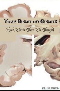 Your Brain on Grains – Much Worse Than We Thought, grain brain