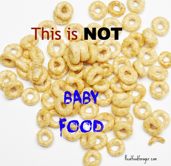 Why I Would NEVER Feed a Baby Gluten post image