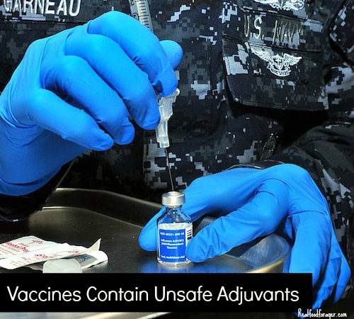 US To Stockpile H5N1 Flu Vaccines with Unsafe Adjuvants post image