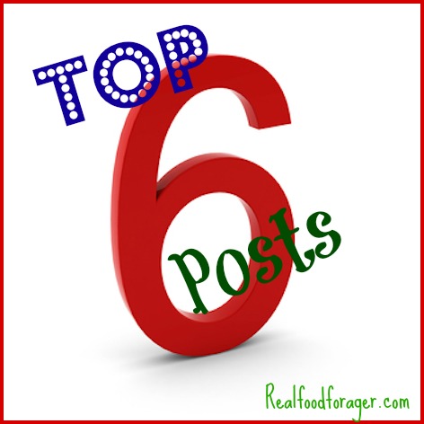 Top 6 Posts from Real Food Forager post image