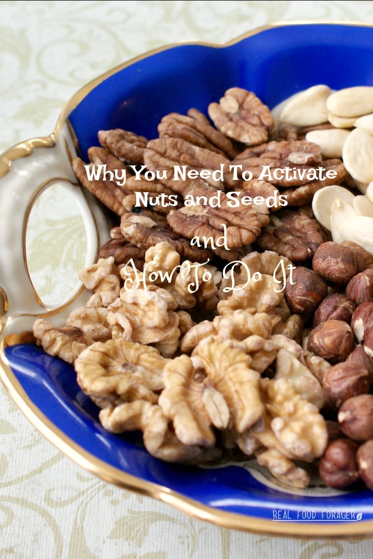 Why You Need to Activate Nuts and Seeds, sprouted nuts, sprouted seeds