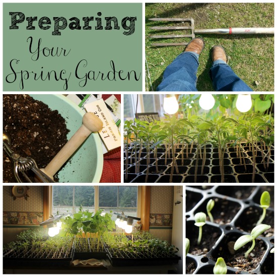 Guest Post: Preparing Your Spring Garden post image