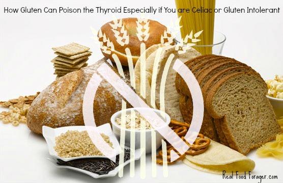Post image for How Gluten Can Poison the Thyroid Especially if You are Celiac or Gluten Intolerant