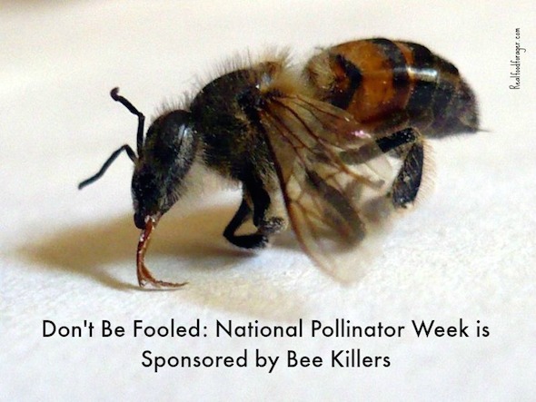 Post image for Don’t Be Fooled: National Pollinator Week is Sponsored by Bee Killers