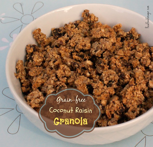 Recipe: Grain-Free Coconut Raisin Granola (Paleo, GAPS, SCD) post image