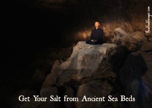Post image for Get Your Salt from Ancient Sea Beds – Natural and Pure