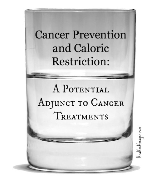 Post image for Cancer Prevention and Caloric Restriction: A Potential Adjunct to Cancer Treatments