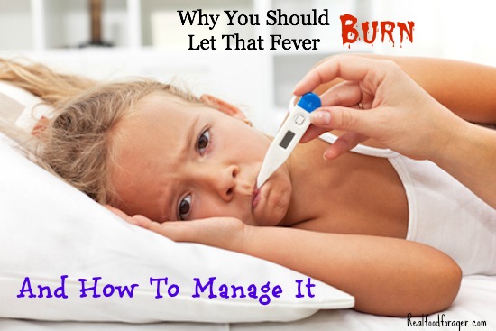 Why You Should Let That Fever Burn and How To Manage It post image