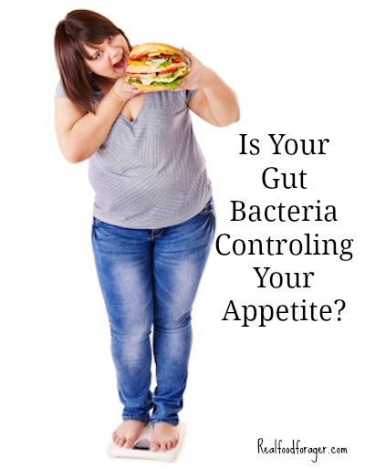 Is Your Gut Bacteria Controling Your Appetite? – What To Do About It post image